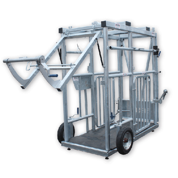 Back gate of the cattle chute or crate on jack, opens vertically  